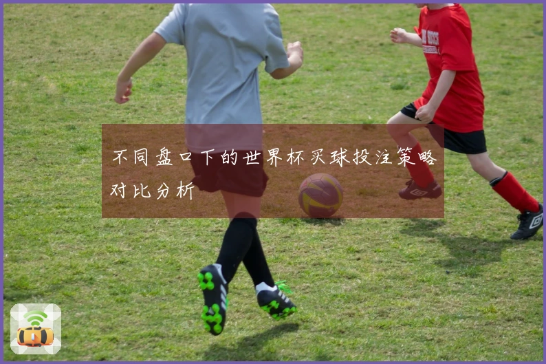 不同盘口下的世界杯买球投注策略对比分析