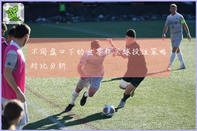 不同盘口下的世界杯买球投注策略对比分析