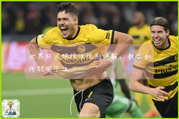 世界杯买球投注规则详解，教你如何聪明下注