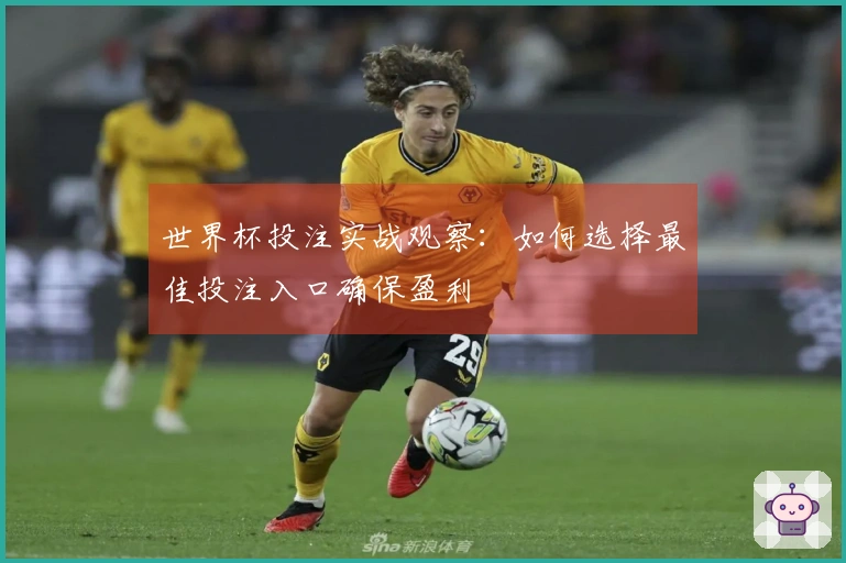世界杯投注实战观察：如何选择最佳投注入口确保盈利