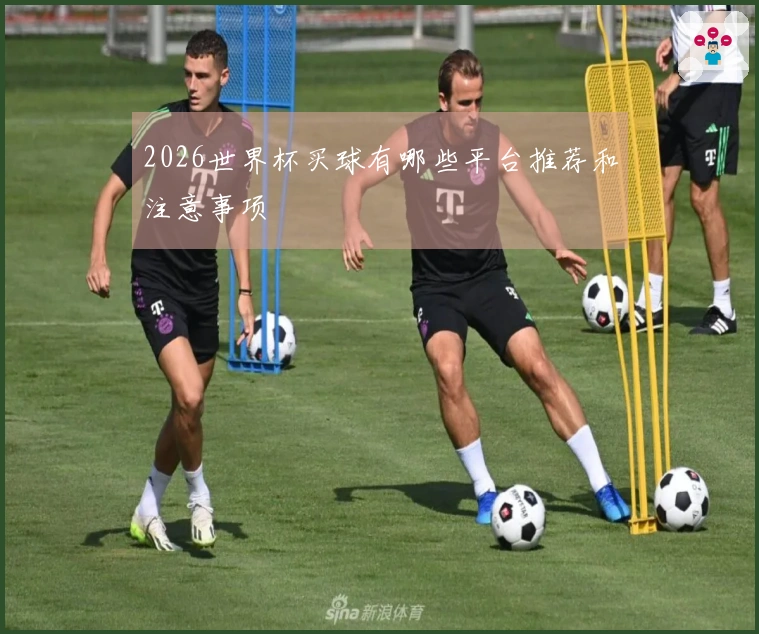 2026世界杯买球有哪些平台推荐和注意事项