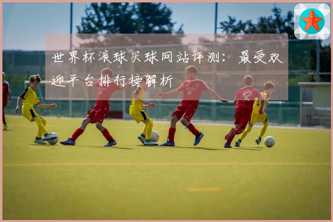 世界杯滚球买球网站评测：最受欢迎平台排行榜解析