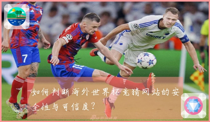 如何判断海外世界杯竞猜网站的安全性与可信度？