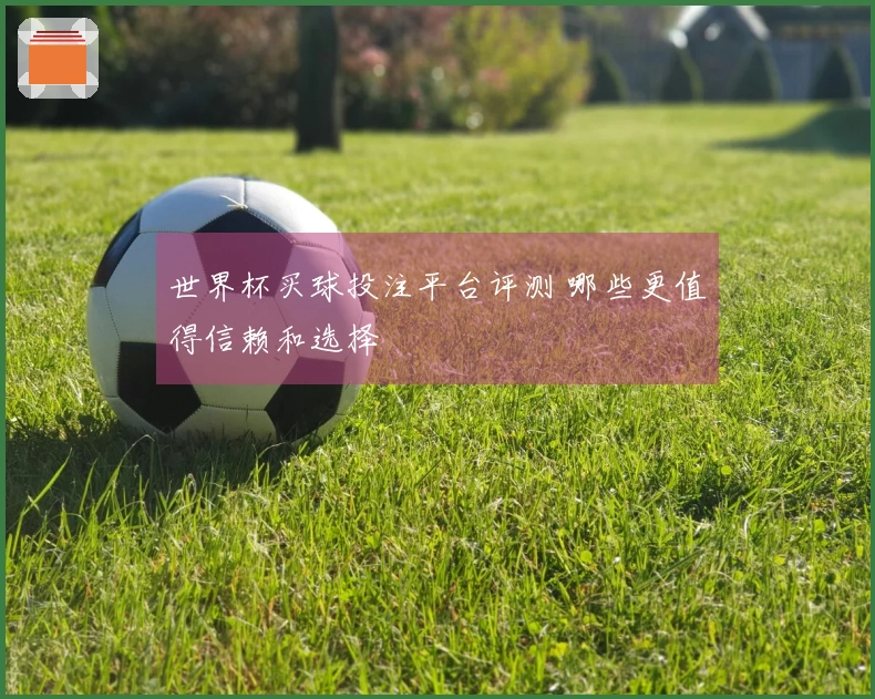 世界杯买球投注平台评测 哪些更值得信赖和选择