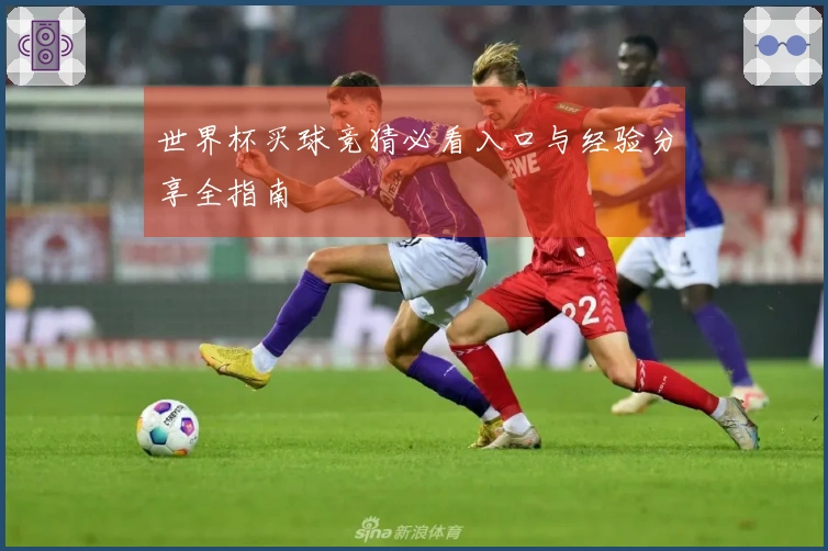 世界杯买球竞猜必看入口与经验分享全指南