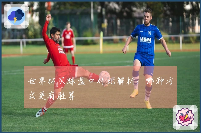 世界杯买球盘口对比解析，哪种方式更有胜算