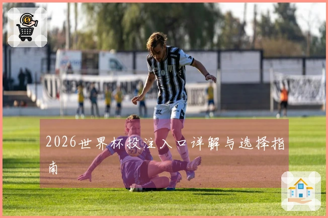 2026世界杯投注入口详解与选择指南