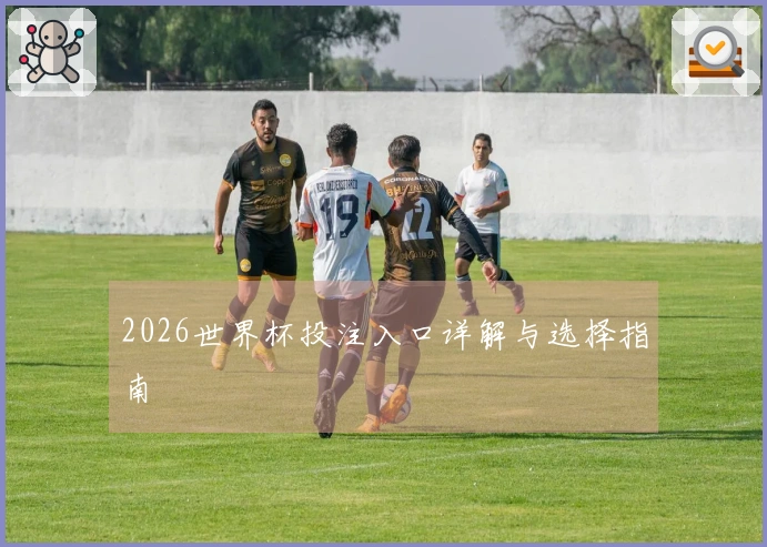 2026世界杯投注入口详解与选择指南