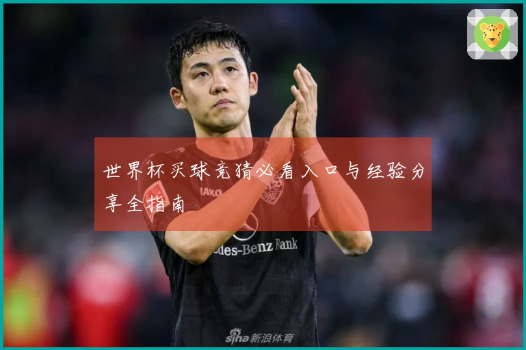 世界杯买球竞猜必看入口与经验分享全指南