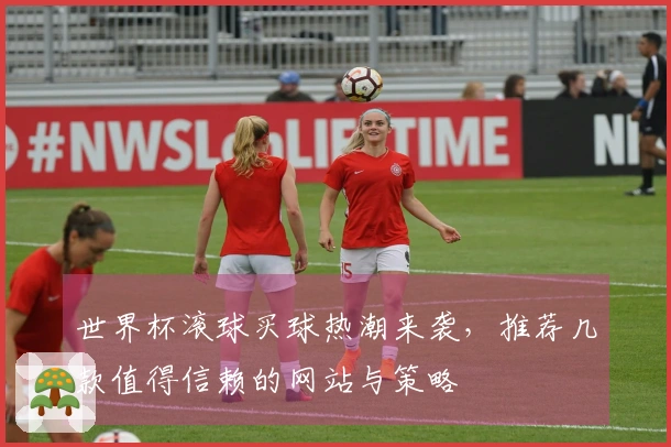 世界杯滚球买球热潮来袭，推荐几款值得信赖的网站与策略
